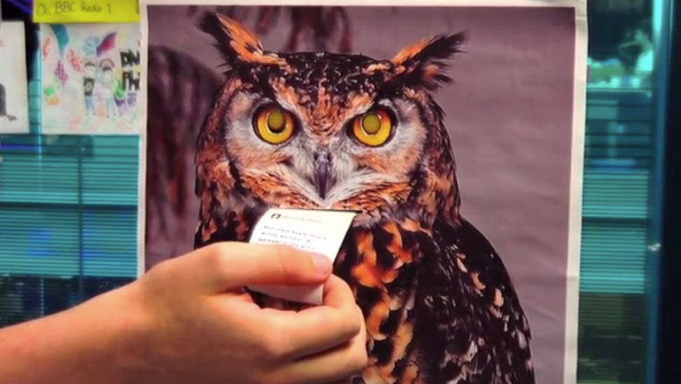 Tweet Owl